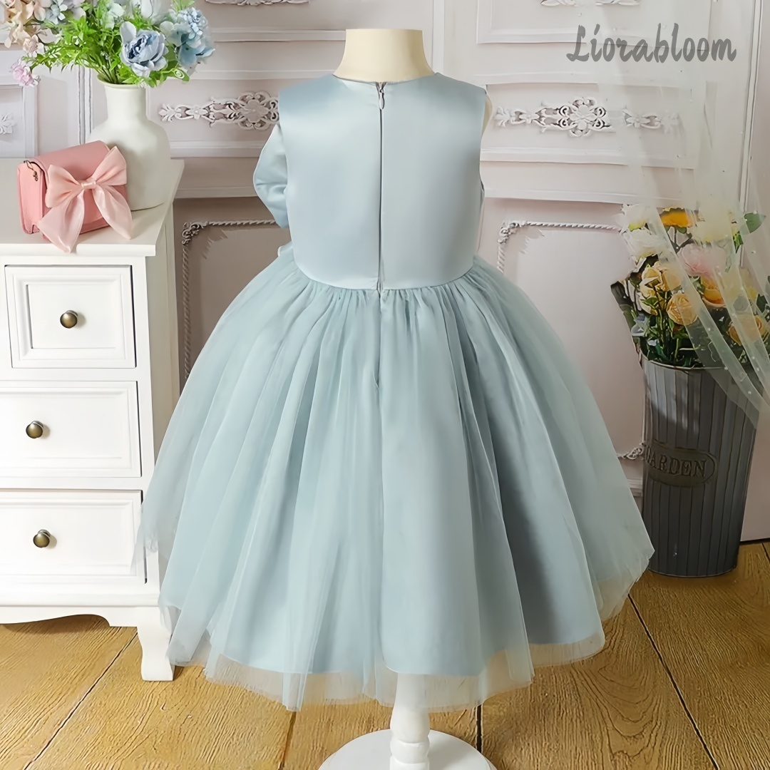Gaun Malam Anak Perempuan Biru - Large Women'S Formal Wear ulasan dan harga